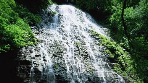 绿色可靠性